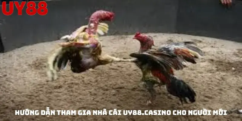 Hướng dẫn tham gia nhà cái uy88.casino cho người mới
